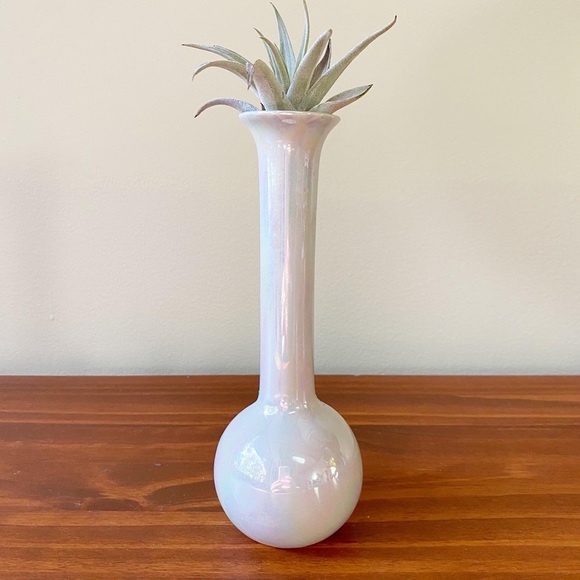Vintage Pearl Iridescent Bud Propagation Vase